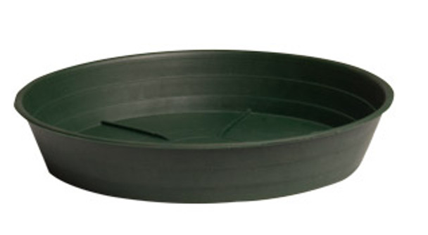 Green Premium Saucer 14, pack of 10