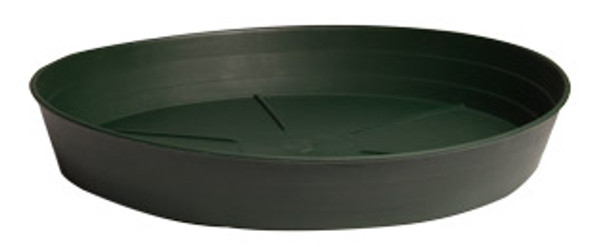 Green Premium Saucer, 6, pack of 25
