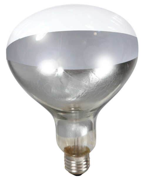 Little Giant Heat Lamp Bulb - Clear