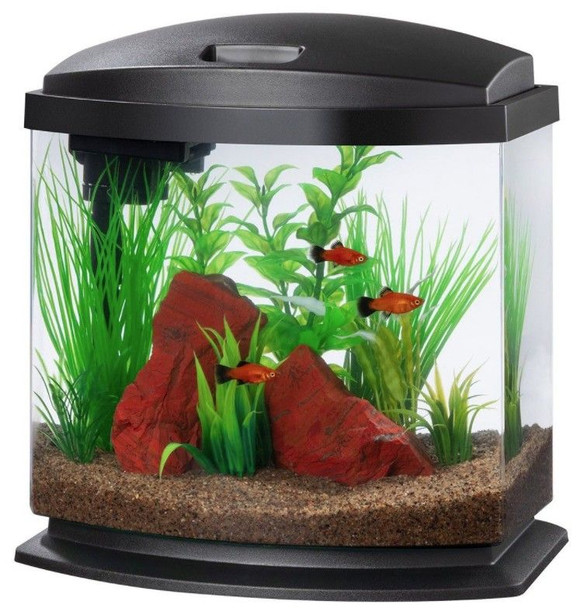 Aqueon LED MiniBow 2.5 SmartClean Aquarium Kit Black 2.5 gallon