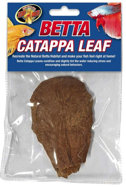 Zoo Med Betta Catappa Leaf 1 count