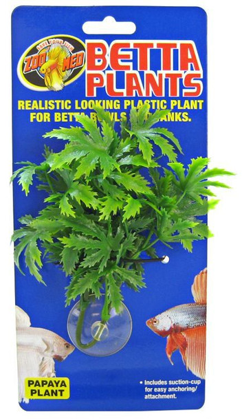 Zoo Med Aquatic Betta Plants - Papaya Papaya Betta Plant