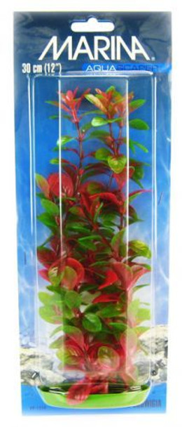 Marina Red Ludwigia Plant 12 Tall