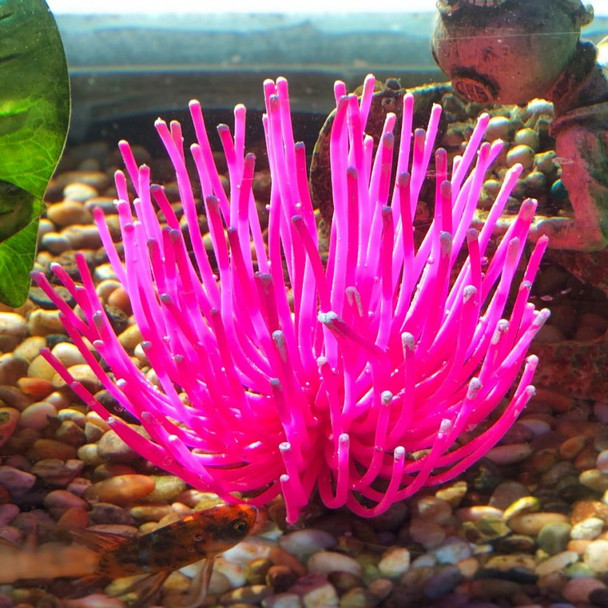 Aquatic Creations Aquarium Decor X-Large Anemone Pink 1 Count