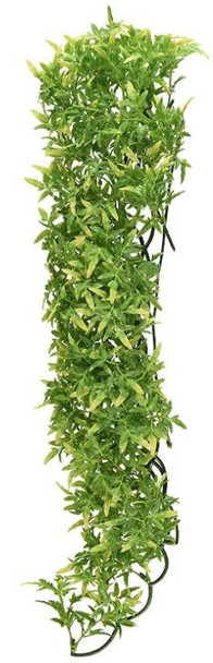 Zoo Med Natural Bush Bolivian Croton Plant Large 1 count