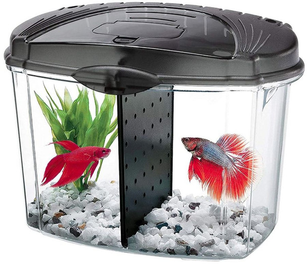 Aqueon Betta Bowl Starter Kit - Black .5 Gallon