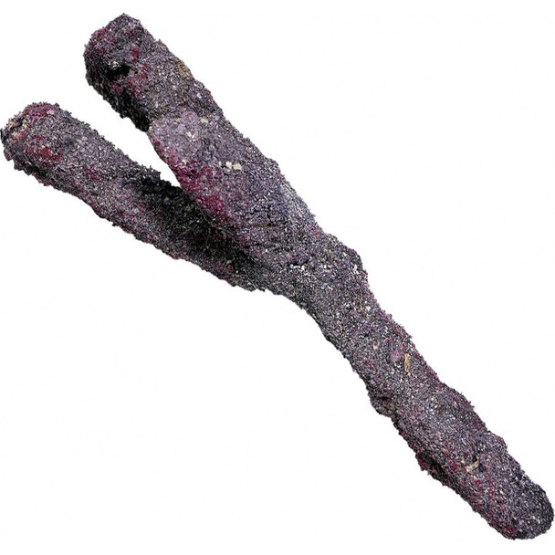 Caribsea Life Rock Branch for Aquariums 20 lbs