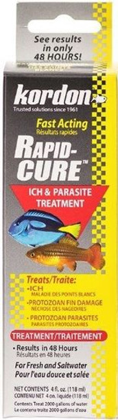 Kordon Rapid Cure Ich & Parasite Treatment 4 oz - (Treats 2,000 Gallons)