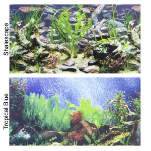 Penn Plax Double-Back Aquarium Background - Tropical Blue / Shalescape 24 Tall x 48 Wide - (Fits 45-120 Gallon Tanks)