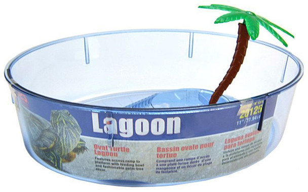 Lees Turtle Lagoon - Assorted Shapes Oval Shaped - 11L x 8W x 3H