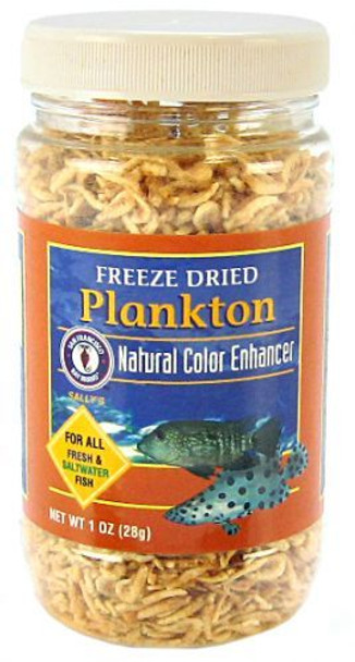 SF Bay Brands Freeze Dried Plankton 28 Grams