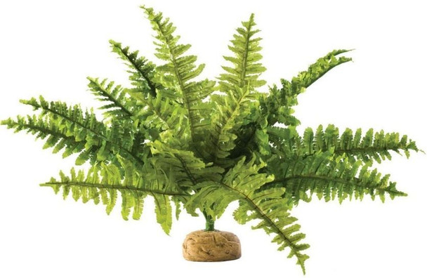 Exo Terra Boston Fern Terrarium Plant Medium - 1 count