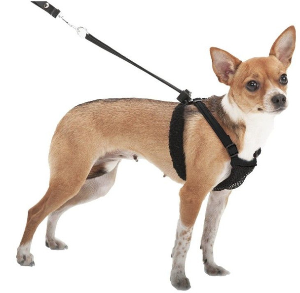 Sporn Non Pull Mesh Harness for Dogs - Black X-Small