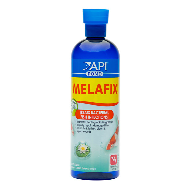 <body><p>API POND MELAFIX Pond Fish Bacterial Infection Remedy uses the antibacterial properties of tea tree (Melaleuca) to treat bacterial infections in pond fish, including ulcers, open wounds, and fin and tail rot. Healing and tissue re-growth can often be seen within four days of treatment. API POND MELAFIX Pond Fish Bacterial Infection Remedy will not harm the biological filter and is safe for snails, aquatic plants and other wildlife. API POND MELAFIX is also recommended when adding new fish to a pond to reduce the risk of disease outbreak. This product is for use in freshwater and marine (saltwater) ponds only; do not use it in aquariums or other types of ponds. With API POND products, itâ€™s easy to keep a beautiful pond. For almost 60 years API has developed premium solutions with proven and effective results for your family and ours. API offers a range of testing kits, water conditioners, and nutritionally superior food, because weâ€™re dedicated to making a better underwater world. They work to provide a safe, hospitable environment for fish such as koi, catfish, perch, goldfish and more. At API, we understand the rewards and relaxation of fishkeeping because we have a passion for fish too.</p><ul><li>Heals bacterial infections and repairs damaged fins, ulcers and open wounds</li> <li>Contains natural, botanical tea tree extract to quickly and rapidly help fish</li> <li>Helps treat newly-introduced fish to reduce risk of disease outbreak in freshwater ponds</li> <li>Use daily for a week when treating infections and for three days as a preventative when adding new fish</li> <li>Contains one (1) API POND MELAFIX Pond Fish Bacterial Infection Remedy 16-Ounce Bottle</li> <li>Treats up to 4800 gallons</li></ul></body>