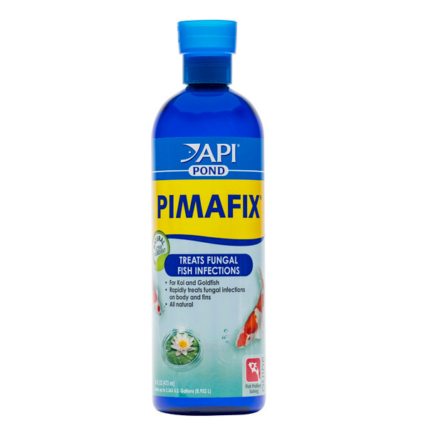 <body><p>API POND PIMAFIX Antifungal Pond Fish Infection Remedy rapidly treats fungal and bacterial infections on body and fins of pond fish, specifically Koi and Goldfish. All-natural solution is made from West Indian Bay Tree extract, and contains multiple synenrgistic compounds to treat fish infections, including fungus or cottony growth on fins, mouth and body fungus, and reddening of fins and body. API POND PIMAFIX has been formulated to work in combination with API POND MELAFIX to promote rapid healing and to more effectively treat stubborn fish diseases. API POND PIMAFIX is safe for aquatic plants and will not adversely affect the biological filter, alter pH, or discolor water. For best results, remove activated carbon from the pond filter and turn off UV and ozone-producing units, if applicable. Dose according to directions on product label. Safe for fish and pond plants, as well as surrounding wildlife and pets. For ornamental pond use only. With API POND products, itâ€™s easy to keep a beautiful pond. For almost 60 years API has developed premium solutions with proven and effective results for your family and ours. API offers a range of testing kits, water conditioners, and nutritionally superior food, because weâ€™re dedicated to making a better underwater world. They work to provide a safe, hospitable environment for fish such as koi, catfish, perch, goldfish and more. At API, we understand the rewards and relaxation of fishkeeping because we have a passion for fish too.</p><ul><li>Rapidly and safely treats fungal infections on body and fins of fish</li> <li>Contains all-natural extract from West Indian Bay Trees to help with fungus and cottony growth</li> <li>Helps heal internal and external bacterial infections in pond</li> <li>Use daily for a week when treating infections</li> <li>Contains one (1) API POND PIMAFIX Antifungal Pond Fish Infection Remedy 16-Ounce Bottle</li> <li>Treats up to 2365 gallons</li></ul></body>