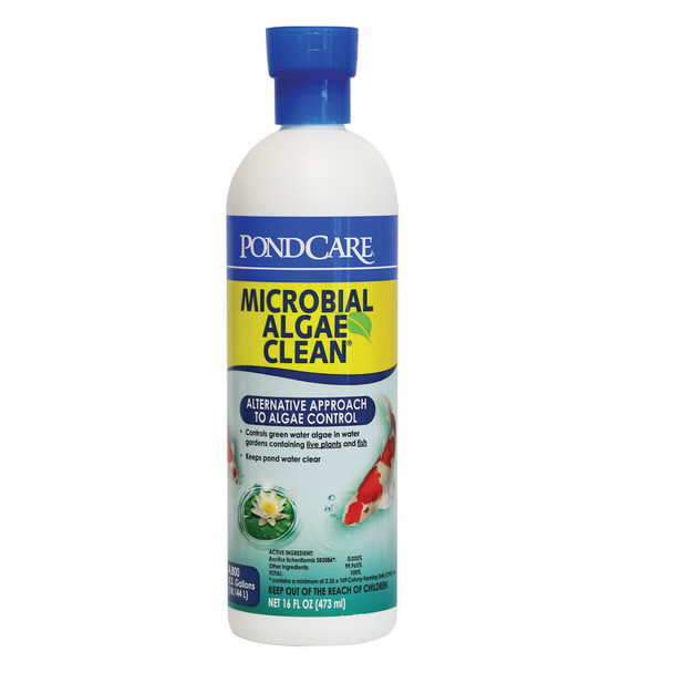 <body><p>PONDCARE MICROBIAL ALGAE CLEAN Biological Inhibitor of Green Water is the first bacterial algaecide registered with the EPA (Environmental Protection Agency) for ponds. It controls green water algae, also known as chlorella, in ponds and water gardens containing live plants and fish. PONDCARE MICROBIAL ALGAE CLEAN uses a beneficial bacteria to eliminate organic sludge, debris, and noxious pond odors. PONDCARE MICROBIAL ALGAE CLEAN helps establish and maintain the biological pond filter and improves conditions for fish to receive more oxygen. This algae control solution is exclusively for use in synthetically-lined ornamental ponds and water gardens, where all water is contained without any outflow. Will not harm plants or fish. With API POND products, itâ€™s easy to keep a beautiful pond. For almost 60 years API has developed premium solutions with proven and effective results for your family and ours. API offers a range of testing kits, water conditioners, and nutritionally superior food, because weâ€™re dedicated to making a better underwater world. They work to provide a safe, hospitable environment for fish such as koi, catfish, perch, goldfish and more. At API, we understand the rewards and relaxation of fishkeeping because we have a passion for fish too.</p><ul><li>Controls green water algae in water gardens containing live plants and fish</li> <li>Eliminates troublesome organic sludge and debris and reduces noxious pond odors</li> <li>Biological inhibitor of green water to promote a cleaner pond environment</li> <li>Use twice a week for two weeks then once a week to maintain green water algae control</li> <li>Contains one (1) PONDCARE MICROBIAL ALGAE CLEAN Biological Inhibitor of Green Water, Alternative approach to algae control, 16-Ounce Bottle</li> <li>Treats up to 4800 gallons</li></ul></body>