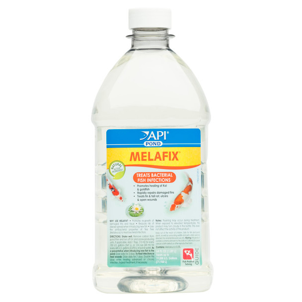 <body><p>API POND MELAFIX Pond Fish Bacterial Infection Remedy uses the antibacterial properties of tea tree (Melaleuca) to treat bacterial infections in pond fish, including ulcers, open wounds, and fin and tail rot. Healing and tissue re-growth can often be seen within four days of treatment. API POND MELAFIX Pond Fish Bacterial Infection Remedy will not harm the biological filter and is safe for snails, aquatic plants and other wildlife. API POND MELAFIX is also recommended when adding new fish to a pond to reduce the risk of disease outbreak. This product is for use in freshwater and marine (saltwater) ponds only; do not use it in aquariums or other types of ponds. With API POND products, itâ€™s easy to keep a beautiful pond. For almost 60 years API has developed premium solutions with proven and effective results for your family and ours. API offers a range of testing kits, water conditioners, and nutritionally superior food, because weâ€™re dedicated to making a better underwater world. They work to provide a safe, hospitable environment for fish such as koi, catfish, perch, goldfish and more. At API, we understand the rewards and relaxation of fishkeeping because we have a passion for fish too.</p><ul><li>Heals bacterial infections and repairs damaged fins, ulcers and open wounds</li> <li>Contains natural, botanical tea tree extract to quickly and rapidly help fish</li> <li>Helps treat newly-introduced fish to reduce risk of disease outbreak in freshwater ponds</li> <li>Use daily for a week when treating infections and for three days as a preventative when adding new fish</li> <li>Contains one (1) API POND MELAFIX Pond Fish Bacterial Infection Remedy 64-Ounce Bottle</li> <li>Treats up to 19000 gallons</li></ul></body>