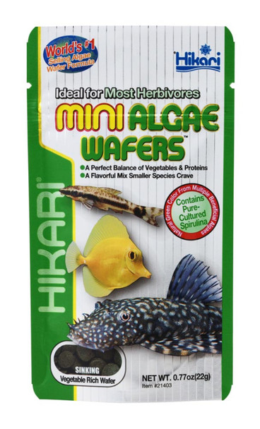 <body><p>Nutrition specifically formulated for the hard-to-feed Plecostomus, but excellent for all algae eaters. Hikari Algae Wafers contain high levels of vegetable matter that algae eaters prefer and love. Vegetable and protein content is balanced to ensure nutrition for proper health and growth. Unique, disc-shaped wafers sink rapidly while retaining its shape. This allows less aggressive species to feed at their leisure without the wafer dissolving or clouding aquarium water. Vegetable-rich Algae Wafers are also great for saltwater fish and other marine herbivores.</p></body>