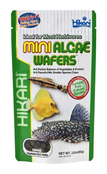 <body><p>Nutrition specifically formulated for the hard-to-feed Plecostomus, but excellent for all algae eaters. Hikari Algae Wafers contain high levels of vegetable matter that algae eaters prefer and love. Vegetable and protein content is balanced to ensure nutrition for proper health and growth. Unique, disc-shaped wafers sink rapidly while retaining its shape. This allows less aggressive species to feed at their leisure without the wafer dissolving or clouding aquarium water. Vegetable-rich Algae Wafers are also great for saltwater fish and other marine herbivores.</p></body>