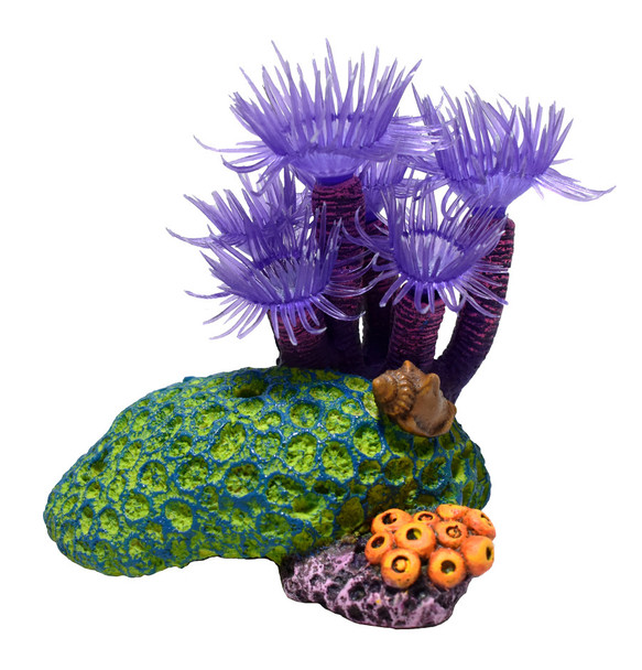 <body><p>Marine Series 3.5 Coral W/Xenia Non-Toxic Resin Ornament</p><ul><li>Marine Series</li> <li>Resin Ornament</li> <li>Non-Toxic</li></ul></body>