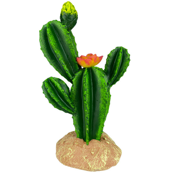 <body><p>Give your tank the natural look it deserves. This replica of the Flower Cactus is a resin replica of the real plant you would find in your animal's natural habitat. It is easy to clean and maintain. It's textured details and vibrant colors make a great addition to any desert environment.</p><ul><li>Natural look</li> <li>Resin replica of the Flower Cactus plant you would find in your animal's natural habitat</li> <li>Easy to clean and maintain</li> <li>Textured details and vibrant colors make a great addition to any desert environment</li></ul></body>