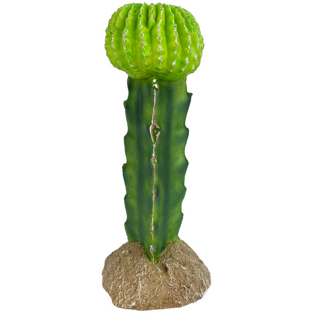 <body><p>Give your tank the natural look it deserves. This replica of the Moon Cactus is a resin replica of the real plant you would find in your animal's natural habitat. It is easy to clean and maintain. It's textured details and vibrant colors make a great addition to any desert environment.</p><ul><li>Natural look</li> <li>Resin replica of the Moon Cactus plant you would find in your animal's natural habitat</li> <li>Easy to clean and maintain</li> <li>Textured details and vibrant colors make a great addition to any desert environment</li></ul></body>