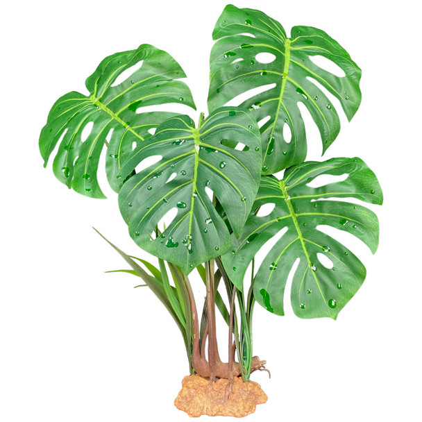 <body><p>Give your tank the natural look it deserves. Decorate your terrarium or aquarium with Komodo's vibrant and realistic Monstera Leaf Standing Plant. The sturdy base will keep the plant in place while your pet explores it's beautiful leaves.</p><ul><li>Give your tank the natural look it deserves</li> <li>Vibrant and realistic Plant</li> <li>Sturdy base will keep the plant in place while your pet explores it's beautiful leaves</li></ul></body>