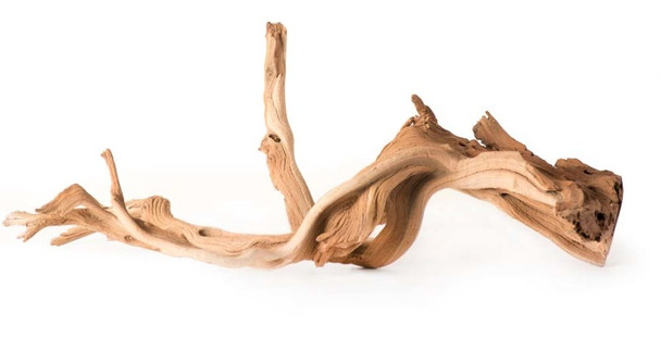 <body><p>Galapagos Staghorn Wood and Branches are a unique addition to any terrarium, aquarium, or aviary. These sandblasted pieces of manzanita have a warm aura that makes them a perfect centerpiece. Manzanita is compatible with freshwater tanks and ideal for attaching moss or aquarium plants. Nocturnal and smaller fish will love the security and hiding places the wood provides. Attach hardware to the branches to create elegant perches in any aviary or secure them in an aquarium to create a beautiful aquascape.</p></body>