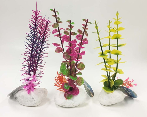 <body><p>Create a beautiful, natural look inside your aquarium without all of the upkeep and maintenance required with live plants. A six piece pdq featuring 2.5/ 3.5 rock plants from Penn-Plax features a heavily detailed and colorful replica of a real aquatic plant on a genuine rock base. Crafted of real rock and non-toxic plastic, Penn-Plax Rock Plants are safe for any aquatic environment. Dimensions: 2.5x2.25x2</p></body>