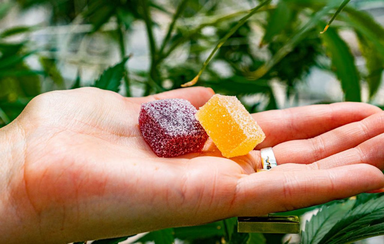 Hemp Gummies vs CBD Gummies