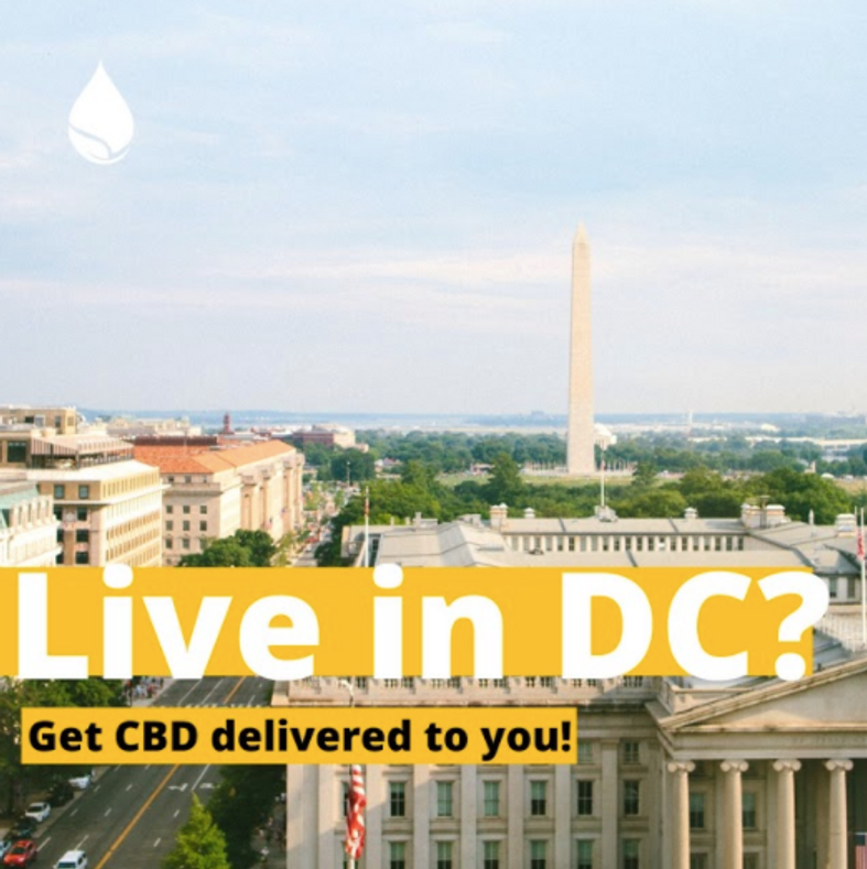 Best CBD Store in Washington DC