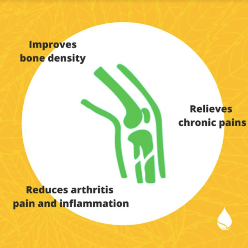 The Science of CBD in Treating Arthritis