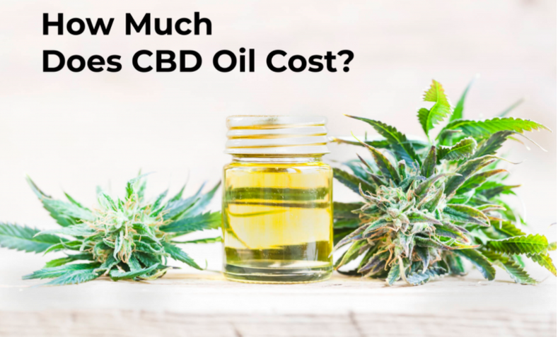 How Much is CBD oil? The Costs of The Products Explained