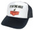 Beer Pong Hat, IT'S IN THE HOLE Hat, Trucker Hat, Mesh Hat