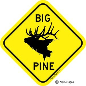 Big Pine Elk Sticker