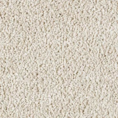 Mohawk SmartStrand Silk Garden Bramble Luminescence