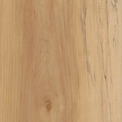 COREtec Originals Enhanced Manila Oak