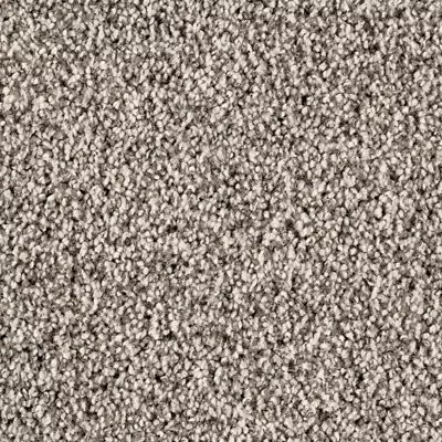 Mohawk SmartStrand Silk Luxuriant Surface Urban