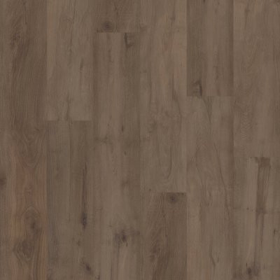 COREtec Pro Premium Stonehaven Maple