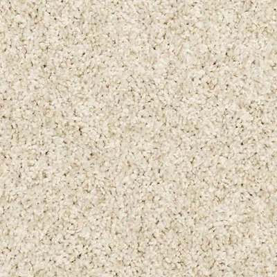 Mohawk PetPremier Diffurent Choice I Canvas Cloth