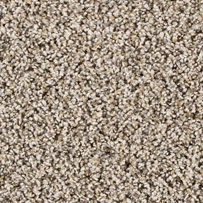 Mohawk PetPremier Diffurent Choice II Soapstone