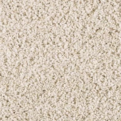 Mohawk PetPremier Diffurent Choice II Canvas Cloth