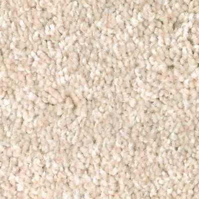 Mohawk SmartStrand True Unity Canvasback