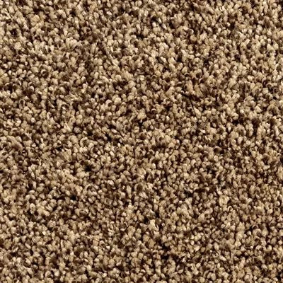 Mohawk EverStrand Assorted Elements I Antique Brown