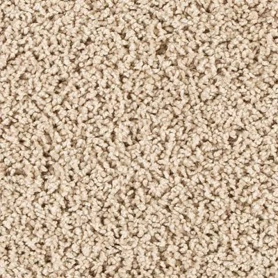 Mohawk PetPremier Diffurent Choice II Sandy Beach