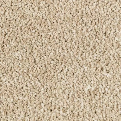 Mohawk SmartStrand Silk Garden Bramble Georgian