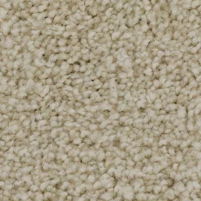 Mohawk SmartStrand Effortless Choice Winter Wind