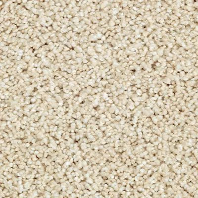Mohawk SmartStrand Silk Wrought Iron Soft Linen