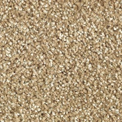 Mohawk SmartStrand Silk Wrought Iron Toasted Bagel