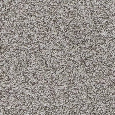 Mohawk PetPremier Canine Comfort Pebble Path